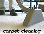 essex carpet cleaning