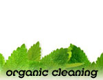 environmentally friendly cleaning