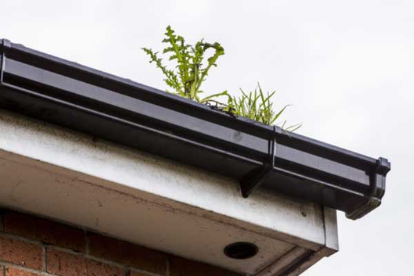 Soffits and Guttering Cleaning Service